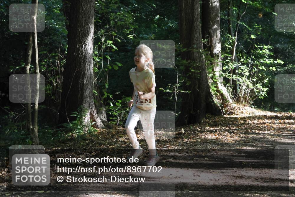 28.09.2025 - 33. Volkslauf durch das schöne Alstertal Strokosch-Dieckow http://msf.ph/oto/8967702 28.09.2025 10:41:46 Laufen 6043 meine-sportfotos.de