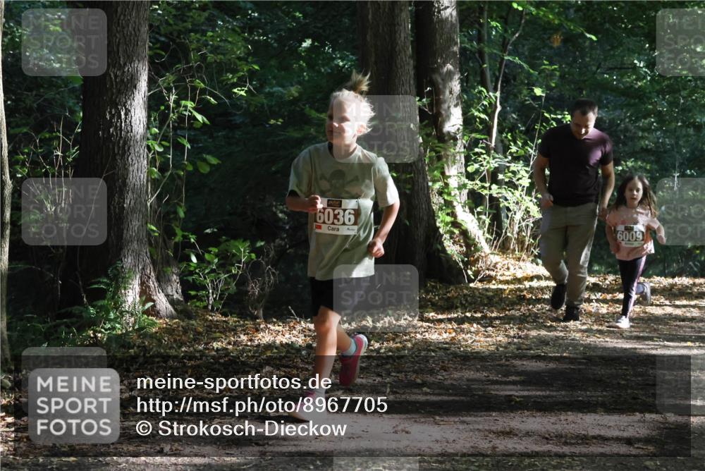 28.09.2025 - 33. Volkslauf durch das schöne Alstertal Strokosch-Dieckow http://msf.ph/oto/8967705 28.09.2025 10:41:47 Laufen 6036, 6009 meine-sportfotos.de