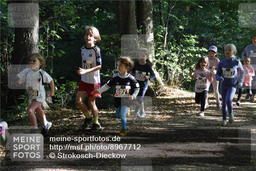 28.09.2025 - 33. Volkslauf durch das schöne Alstertal Strokosch-Dieckow http://msf.ph/oto/8967712 28.09.2025 10:41:51 Laufen 6966, 970, 6971, 6030, 6953, 6967, 695 meine-sportfotos.de