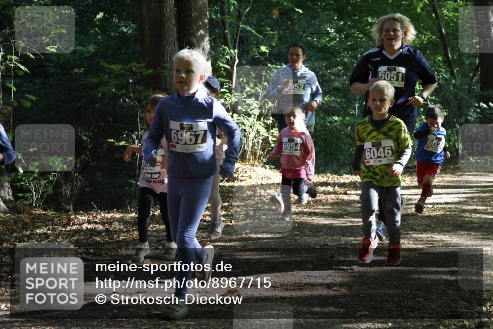 28.09.2025 - 33. Volkslauf durch das schöne Alstertal Strokosch-Dieckow http://msf.ph/oto/8967715 28.09.2025 10:41:53 Laufen 952, 6051, 6967, 6954, 6046, 6024 meine-sportfotos.de