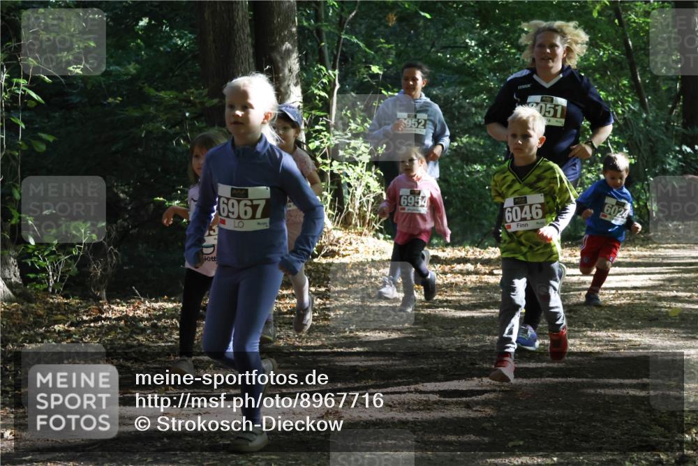 28.09.2025 - 33. Volkslauf durch das schöne Alstertal Strokosch-Dieckow http://msf.ph/oto/8967716 28.09.2025 10:41:53 Laufen 6967, 3, 952, 051, 6954, 6046, 6024 meine-sportfotos.de
