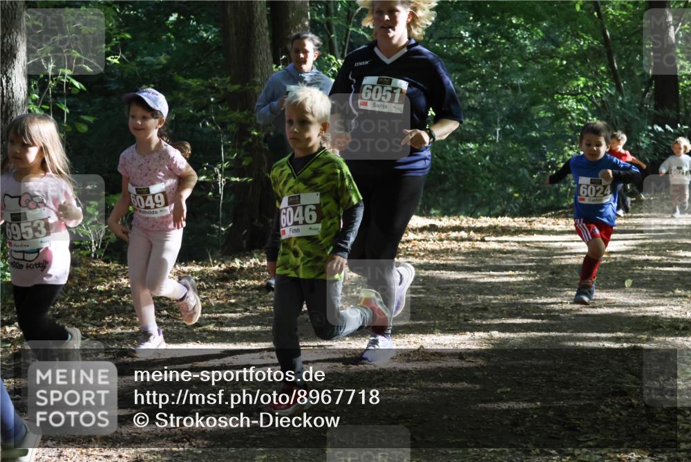 28.09.2025 - 33. Volkslauf durch das schöne Alstertal Strokosch-Dieckow http://msf.ph/oto/8967718 28.09.2025 10:41:53 Laufen 6953, 6049, 6046, 6051, 6024, 6021 meine-sportfotos.de