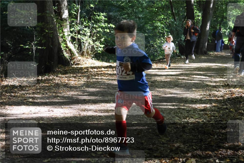 28.09.2025 - 33. Volkslauf durch das schöne Alstertal Strokosch-Dieckow http://msf.ph/oto/8967723 28.09.2025 10:41:55 Laufen 5024, 6021 meine-sportfotos.de