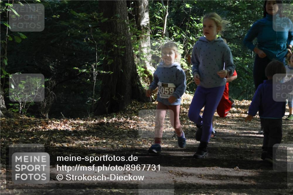 28.09.2025 - 33. Volkslauf durch das schöne Alstertal Strokosch-Dieckow http://msf.ph/oto/8967731 28.09.2025 10:42:02 Laufen 6059, 69 meine-sportfotos.de