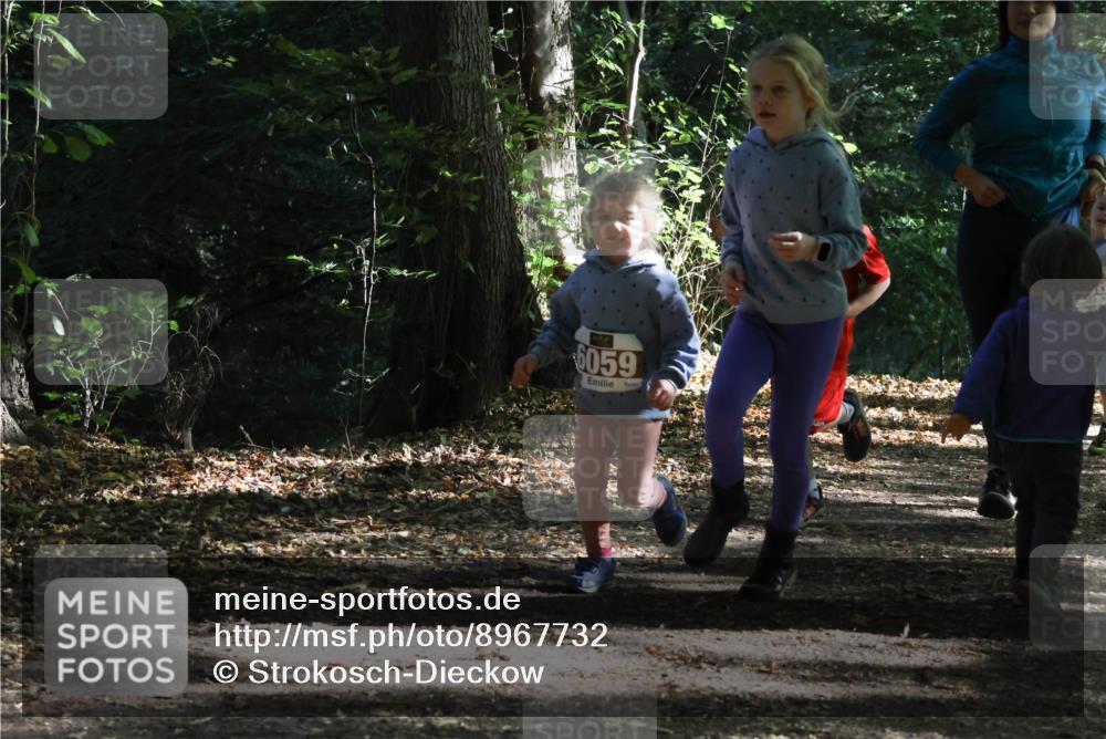 28.09.2025 - 33. Volkslauf durch das schöne Alstertal Strokosch-Dieckow http://msf.ph/oto/8967732 28.09.2025 10:42:02 Laufen 6059 meine-sportfotos.de
