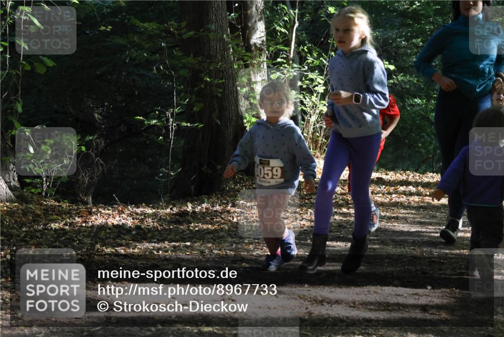 28.09.2025 - 33. Volkslauf durch das schöne Alstertal Strokosch-Dieckow http://msf.ph/oto/8967733 28.09.2025 10:42:02 Laufen 55, 6059 meine-sportfotos.de