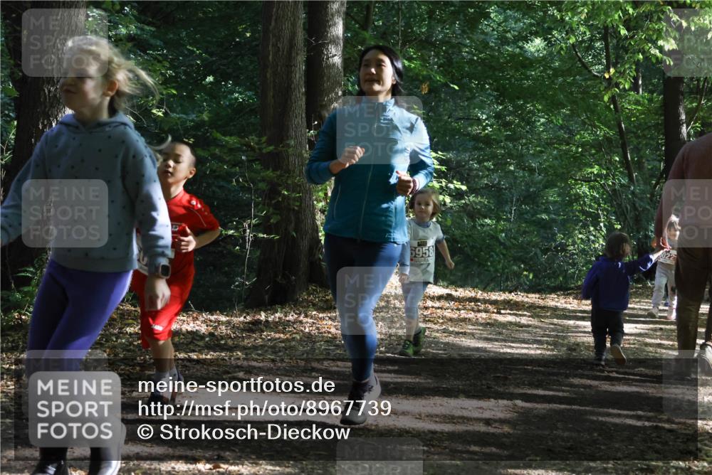 28.09.2025 - 33. Volkslauf durch das schöne Alstertal Strokosch-Dieckow http://msf.ph/oto/8967739 28.09.2025 10:42:03 Laufen 6958 meine-sportfotos.de