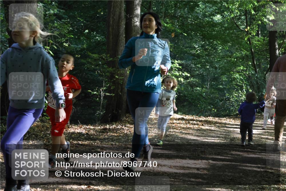 28.09.2025 - 33. Volkslauf durch das schöne Alstertal Strokosch-Dieckow http://msf.ph/oto/8967740 28.09.2025 10:42:03 Laufen 600, 6958 meine-sportfotos.de