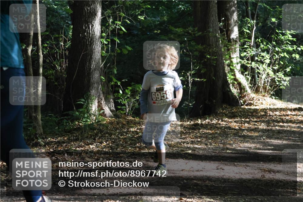 28.09.2025 - 33. Volkslauf durch das schöne Alstertal Strokosch-Dieckow http://msf.ph/oto/8967742 28.09.2025 10:42:04 Laufen 6958 meine-sportfotos.de