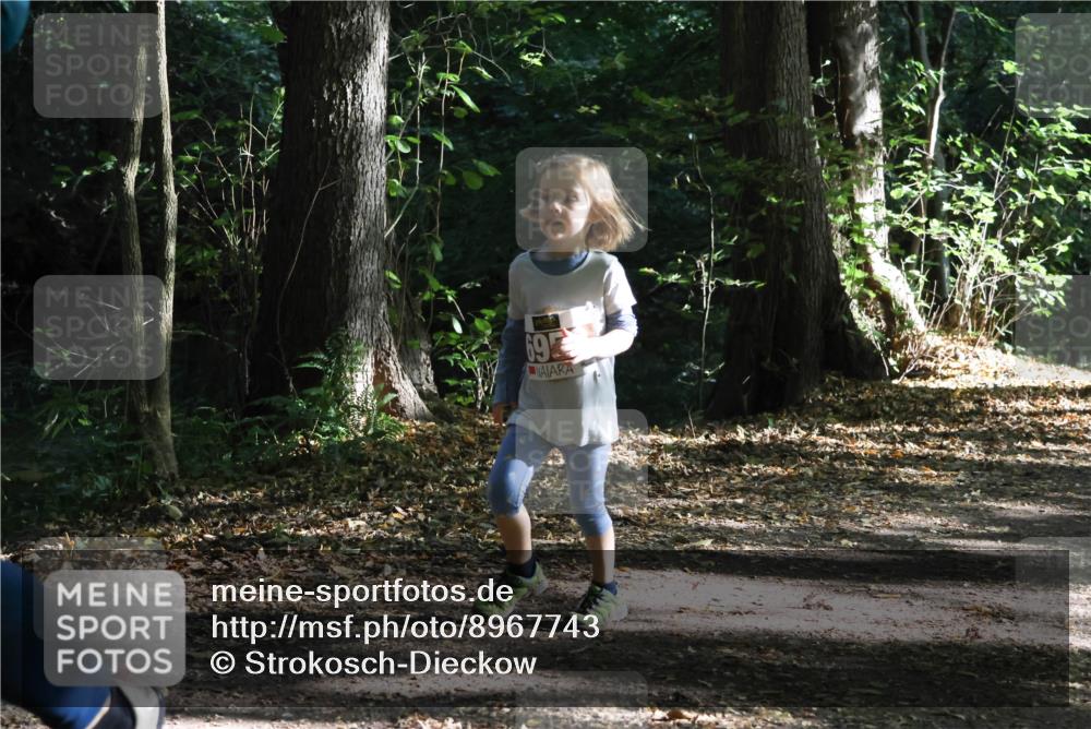 28.09.2025 - 33. Volkslauf durch das schöne Alstertal Strokosch-Dieckow http://msf.ph/oto/8967743 28.09.2025 10:42:04 Laufen 69 meine-sportfotos.de