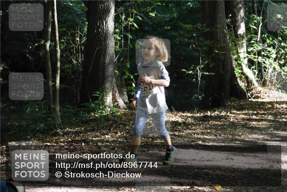 28.09.2025 - 33. Volkslauf durch das schöne Alstertal Strokosch-Dieckow http://msf.ph/oto/8967744 28.09.2025 10:42:04 Laufen 950 meine-sportfotos.de