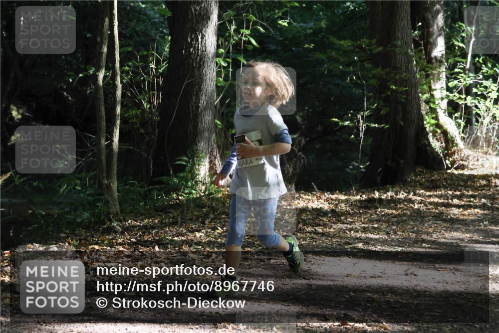 28.09.2025 - 33. Volkslauf durch das schöne Alstertal Strokosch-Dieckow http://msf.ph/oto/8967746 28.09.2025 10:42:05 Laufen  meine-sportfotos.de