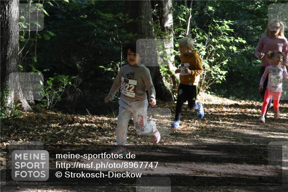28.09.2025 - 33. Volkslauf durch das schöne Alstertal Strokosch-Dieckow http://msf.ph/oto/8967747 28.09.2025 10:42:07 Laufen 6022, 96, 6027 meine-sportfotos.de