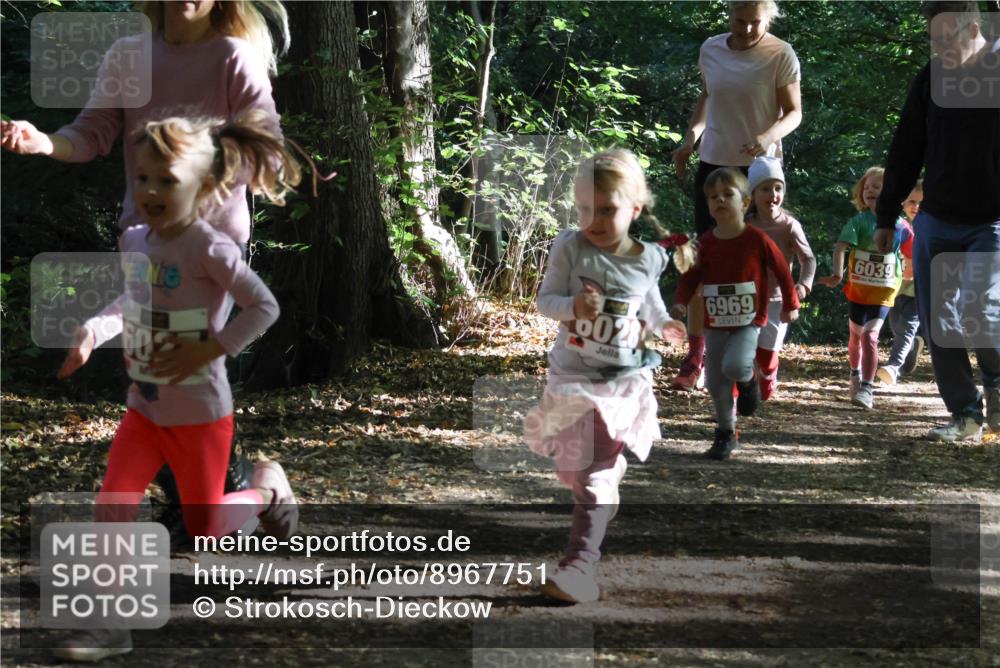 28.09.2025 - 33. Volkslauf durch das schöne Alstertal Strokosch-Dieckow http://msf.ph/oto/8967751 28.09.2025 10:42:09 Laufen 002, 6969, 6039 meine-sportfotos.de