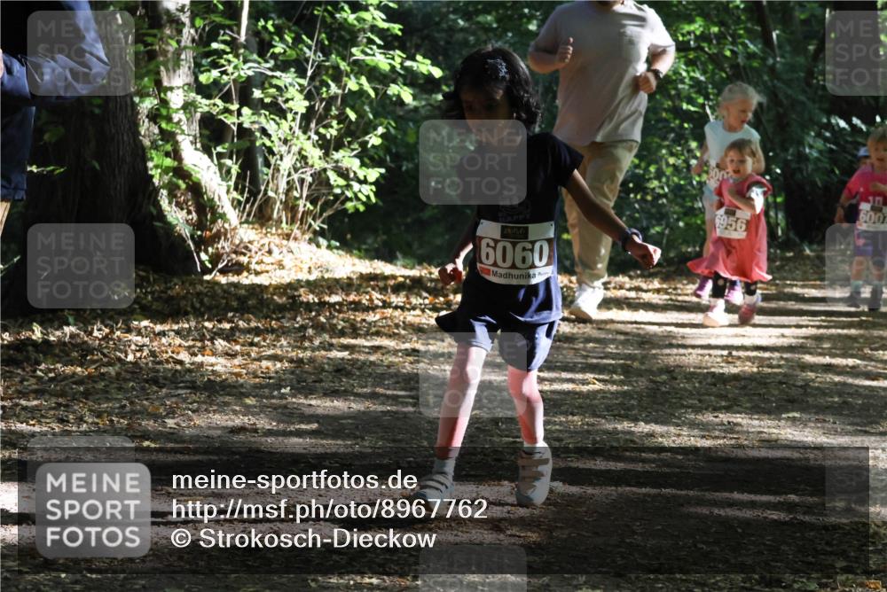 28.09.2025 - 33. Volkslauf durch das schöne Alstertal Strokosch-Dieckow http://msf.ph/oto/8967762 28.09.2025 10:42:20 Laufen 6060, 6956, 6007 meine-sportfotos.de