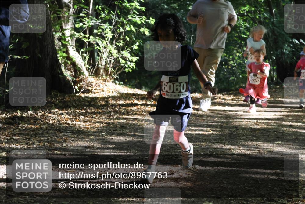 28.09.2025 - 33. Volkslauf durch das schöne Alstertal Strokosch-Dieckow http://msf.ph/oto/8967763 28.09.2025 10:42:20 Laufen 500, 6060, 6956 meine-sportfotos.de