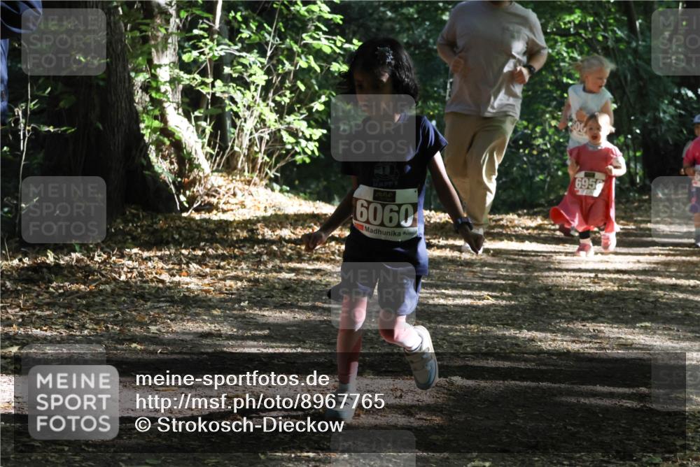 28.09.2025 - 33. Volkslauf durch das schöne Alstertal Strokosch-Dieckow http://msf.ph/oto/8967765 28.09.2025 10:42:20 Laufen 6060, 6956 meine-sportfotos.de