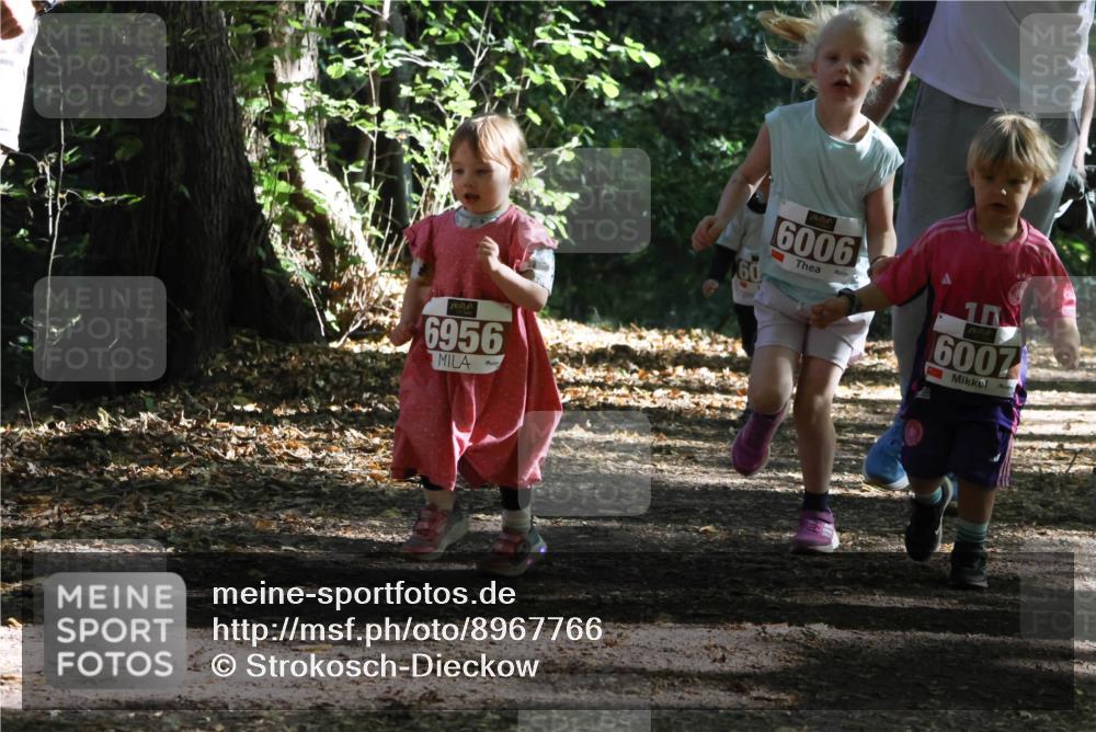 28.09.2025 - 33. Volkslauf durch das schöne Alstertal Strokosch-Dieckow http://msf.ph/oto/8967766 28.09.2025 10:42:23 Laufen 6956, 6006, 10, 6007 meine-sportfotos.de