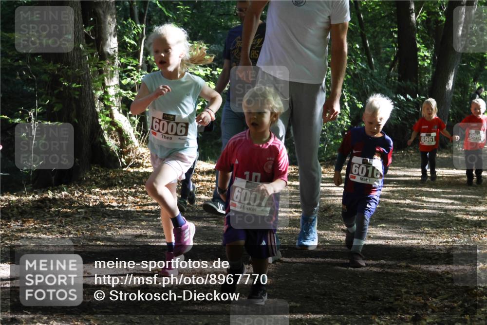 28.09.2025 - 33. Volkslauf durch das schöne Alstertal Strokosch-Dieckow http://msf.ph/oto/8967770 28.09.2025 10:42:24 Laufen 6006, 85, 10, 6007, 6016, 6961, 696 meine-sportfotos.de