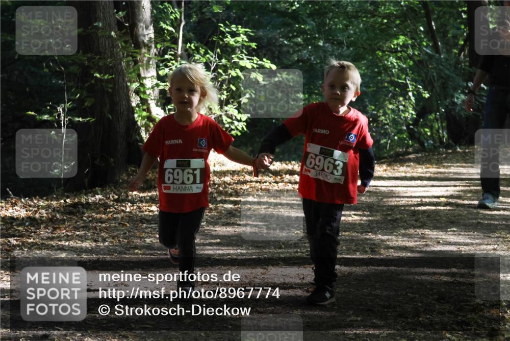 28.09.2025 - 33. Volkslauf durch das schöne Alstertal Strokosch-Dieckow http://msf.ph/oto/8967774 28.09.2025 10:42:29 Laufen 6961, 6963 meine-sportfotos.de