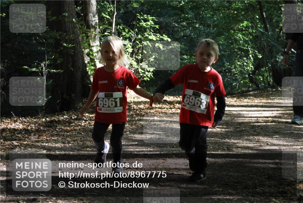 28.09.2025 - 33. Volkslauf durch das schöne Alstertal Strokosch-Dieckow http://msf.ph/oto/8967775 28.09.2025 10:42:29 Laufen 6963, 6961 meine-sportfotos.de