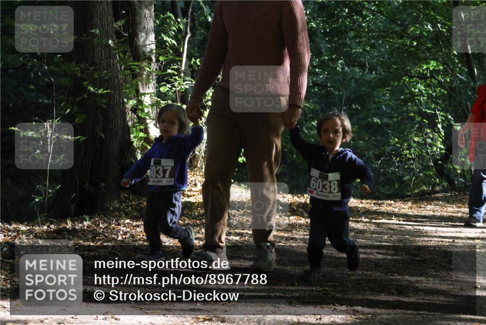 28.09.2025 - 33. Volkslauf durch das schöne Alstertal Strokosch-Dieckow http://msf.ph/oto/8967788 28.09.2025 10:42:41 Laufen 037, 6038 meine-sportfotos.de