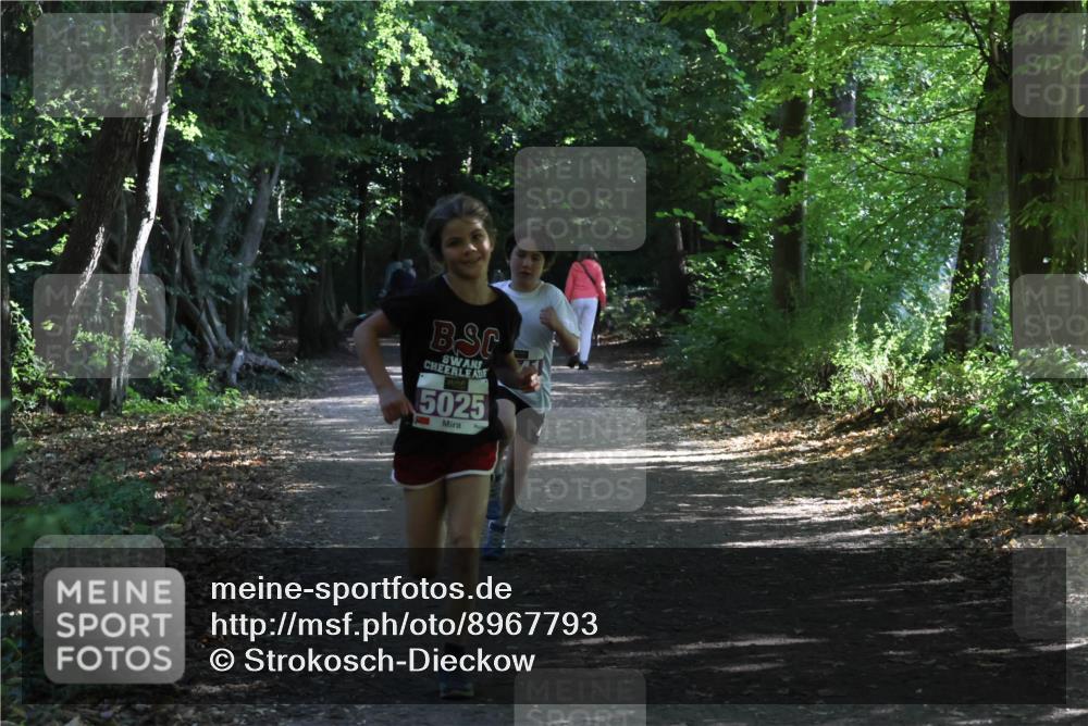 28.09.2025 - 33. Volkslauf durch das schöne Alstertal Strokosch-Dieckow http://msf.ph/oto/8967793 28.09.2025 10:43:48 Laufen 5025 meine-sportfotos.de