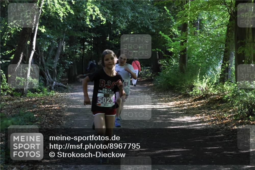 28.09.2025 - 33. Volkslauf durch das schöne Alstertal Strokosch-Dieckow http://msf.ph/oto/8967795 28.09.2025 10:43:48 Laufen 5025 meine-sportfotos.de