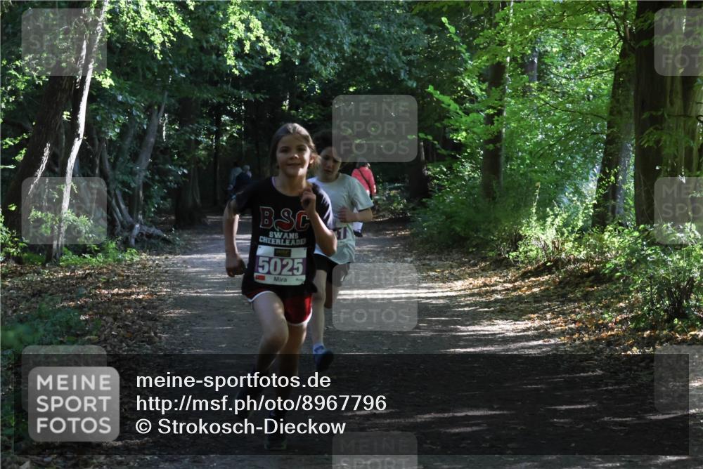 28.09.2025 - 33. Volkslauf durch das schöne Alstertal Strokosch-Dieckow http://msf.ph/oto/8967796 28.09.2025 10:43:48 Laufen 5025 meine-sportfotos.de