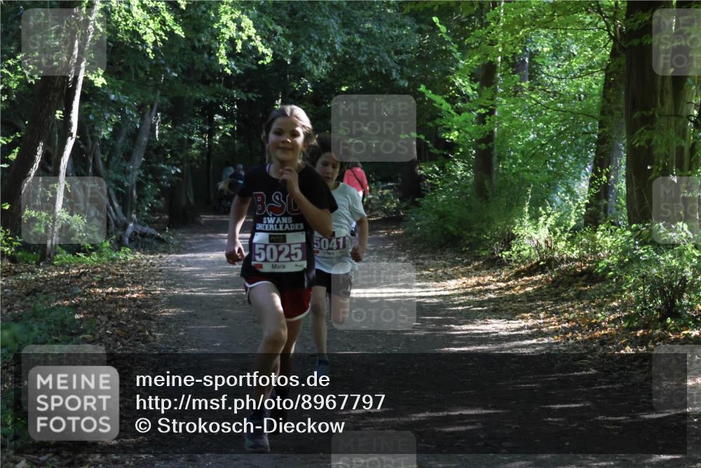 28.09.2025 - 33. Volkslauf durch das schöne Alstertal Strokosch-Dieckow http://msf.ph/oto/8967797 28.09.2025 10:43:48 Laufen 5025, 5041 meine-sportfotos.de