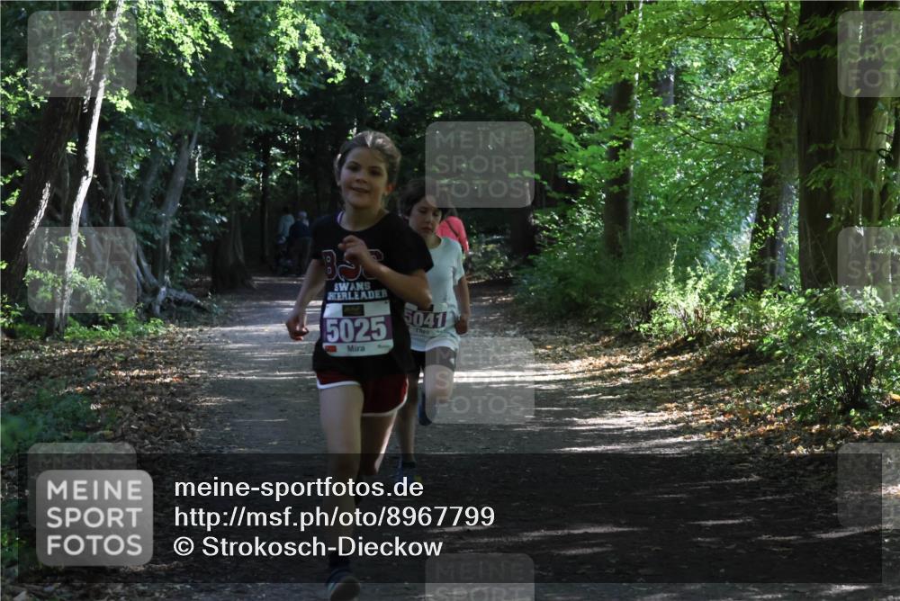 28.09.2025 - 33. Volkslauf durch das schöne Alstertal Strokosch-Dieckow http://msf.ph/oto/8967799 28.09.2025 10:43:48 Laufen 5025, 041 meine-sportfotos.de