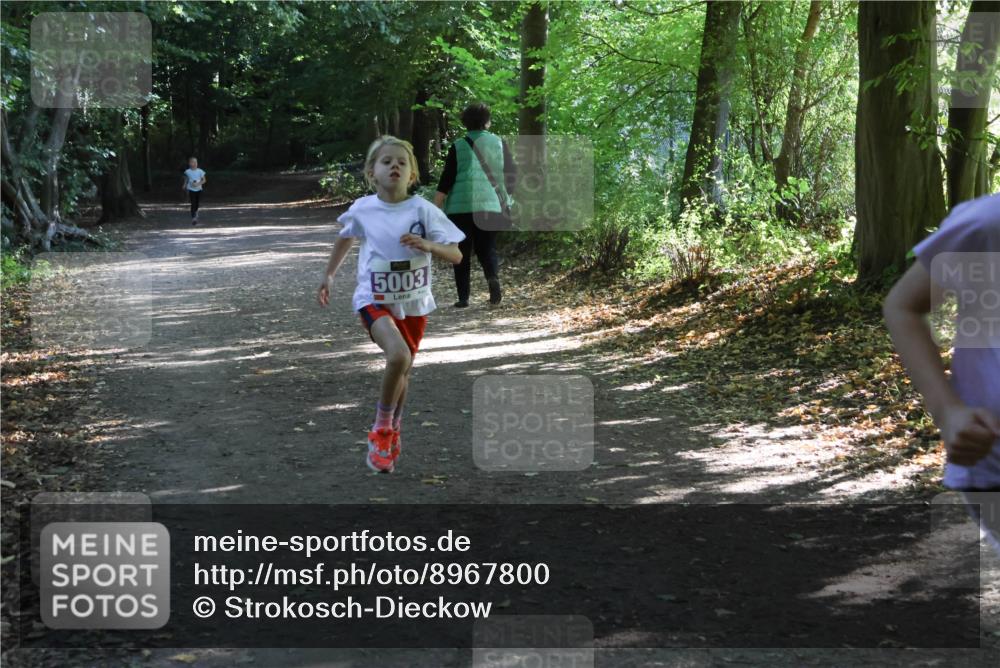 28.09.2025 - 33. Volkslauf durch das schöne Alstertal Strokosch-Dieckow http://msf.ph/oto/8967800 28.09.2025 10:44:05 Laufen 5003 meine-sportfotos.de