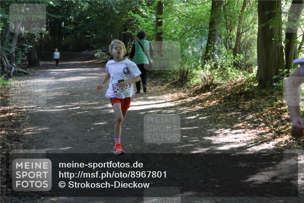 28.09.2025 - 33. Volkslauf durch das schöne Alstertal Strokosch-Dieckow http://msf.ph/oto/8967801 28.09.2025 10:44:05 Laufen 5053 meine-sportfotos.de