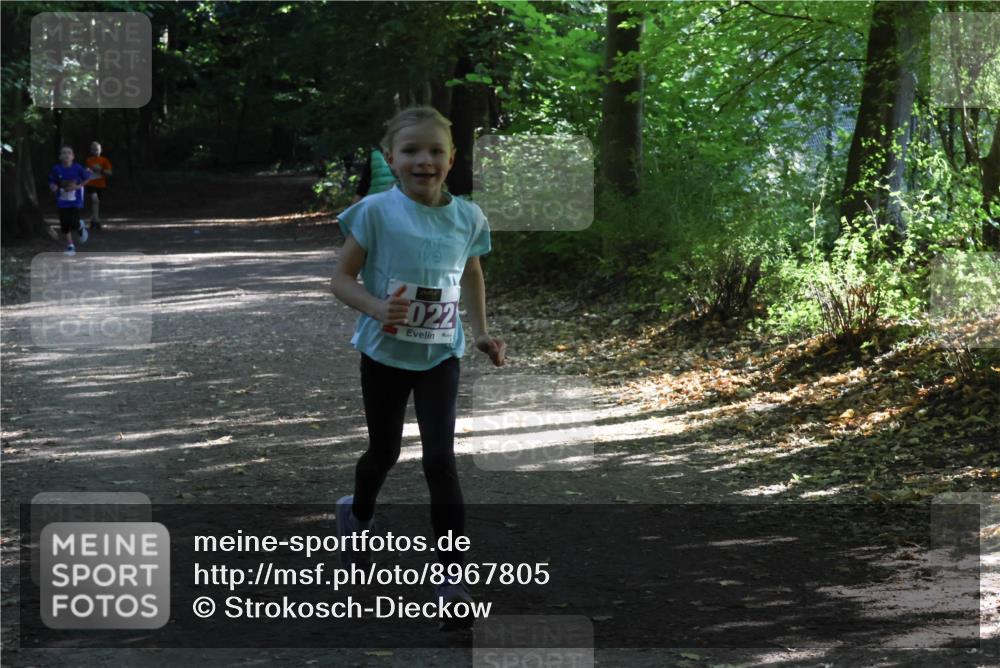 28.09.2025 - 33. Volkslauf durch das schöne Alstertal Strokosch-Dieckow http://msf.ph/oto/8967805 28.09.2025 10:44:14 Laufen 022 meine-sportfotos.de