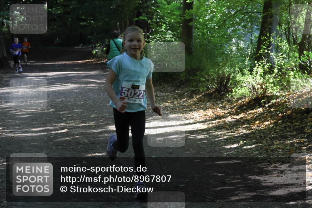28.09.2025 - 33. Volkslauf durch das schöne Alstertal Strokosch-Dieckow http://msf.ph/oto/8967807 28.09.2025 10:44:14 Laufen 787, 5022 meine-sportfotos.de