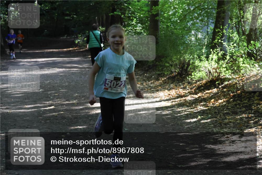 28.09.2025 - 33. Volkslauf durch das schöne Alstertal Strokosch-Dieckow http://msf.ph/oto/8967808 28.09.2025 10:44:14 Laufen 5022 meine-sportfotos.de