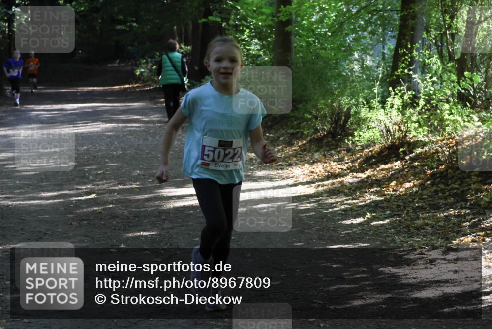 28.09.2025 - 33. Volkslauf durch das schöne Alstertal Strokosch-Dieckow http://msf.ph/oto/8967809 28.09.2025 10:44:14 Laufen 5022 meine-sportfotos.de