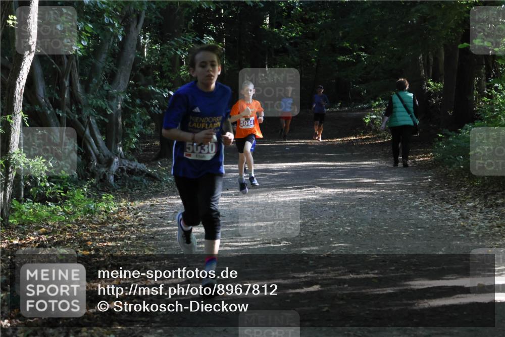 28.09.2025 - 33. Volkslauf durch das schöne Alstertal Strokosch-Dieckow http://msf.ph/oto/8967812 28.09.2025 10:44:20 Laufen 5044, 5030 meine-sportfotos.de