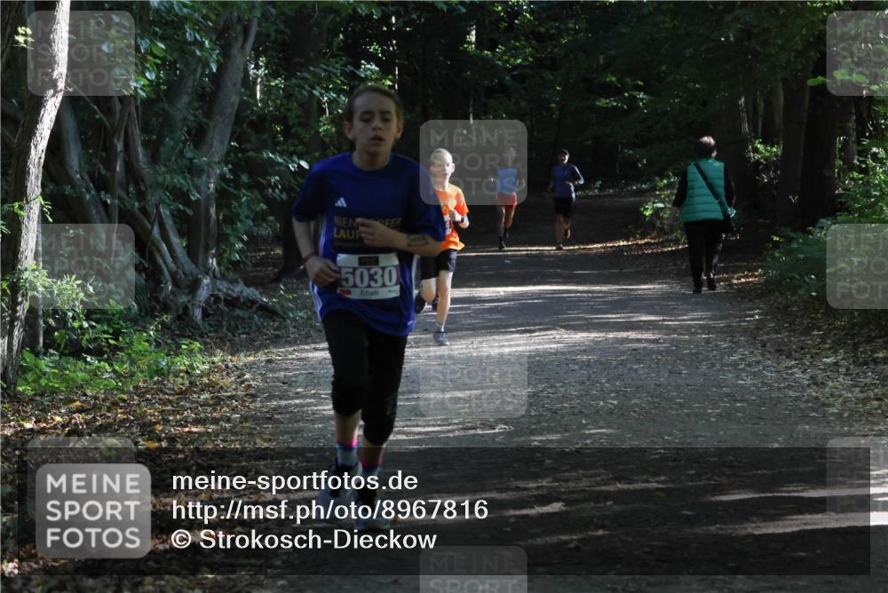 28.09.2025 - 33. Volkslauf durch das schöne Alstertal Strokosch-Dieckow http://msf.ph/oto/8967816 28.09.2025 10:44:21 Laufen 5030 meine-sportfotos.de
