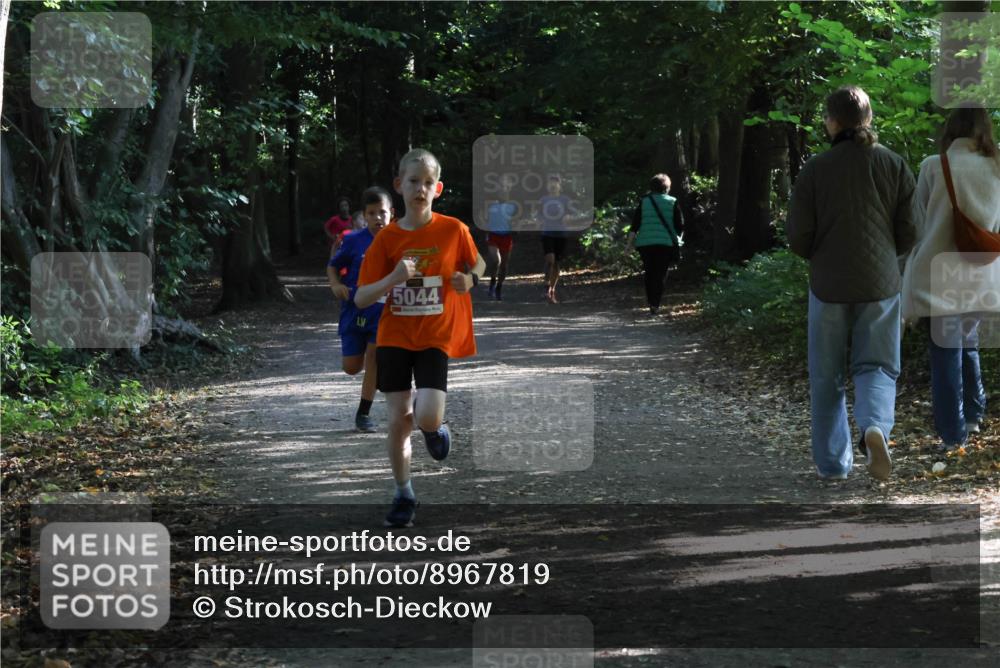 28.09.2025 - 33. Volkslauf durch das schöne Alstertal Strokosch-Dieckow http://msf.ph/oto/8967819 28.09.2025 10:44:24 Laufen 5044 meine-sportfotos.de