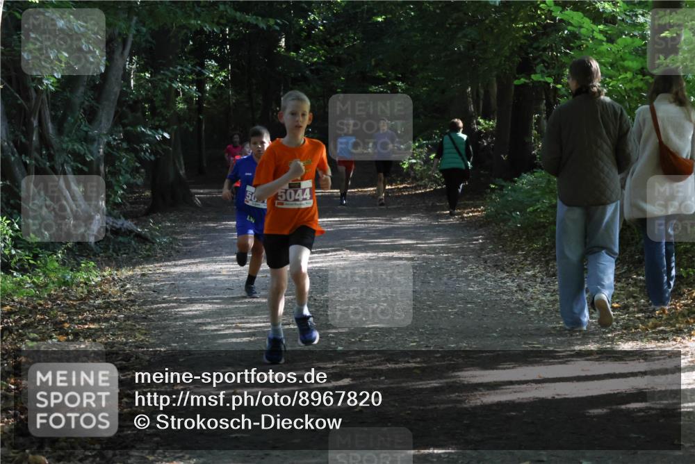 28.09.2025 - 33. Volkslauf durch das schöne Alstertal Strokosch-Dieckow http://msf.ph/oto/8967820 28.09.2025 10:44:24 Laufen 50, 5044 meine-sportfotos.de