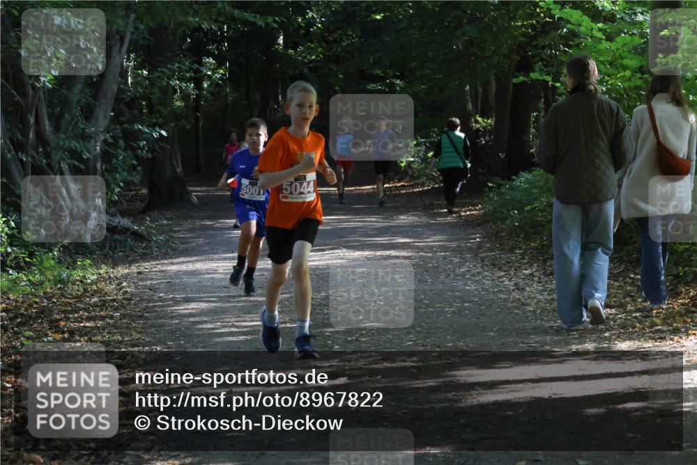 28.09.2025 - 33. Volkslauf durch das schöne Alstertal Strokosch-Dieckow http://msf.ph/oto/8967822 28.09.2025 10:44:24 Laufen 500, 5044 meine-sportfotos.de