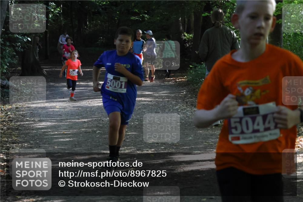 28.09.2025 - 33. Volkslauf durch das schöne Alstertal Strokosch-Dieckow http://msf.ph/oto/8967825 28.09.2025 10:44:26 Laufen 5030, 5002, 5001, 5044 meine-sportfotos.de