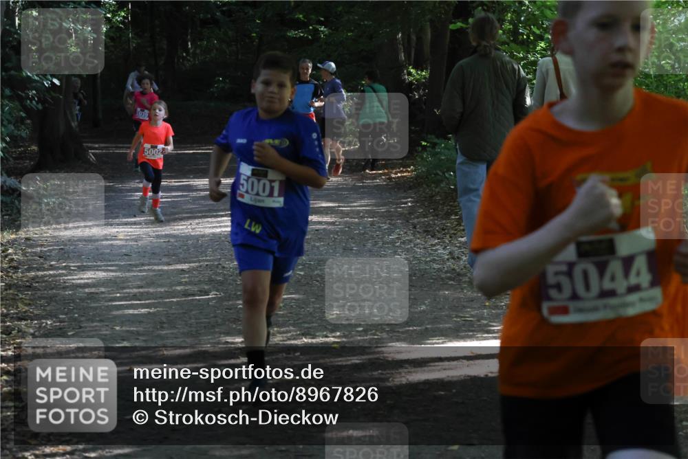 28.09.2025 - 33. Volkslauf durch das schöne Alstertal Strokosch-Dieckow http://msf.ph/oto/8967826 28.09.2025 10:44:26 Laufen 5039, 5002, 5001, 5044 meine-sportfotos.de