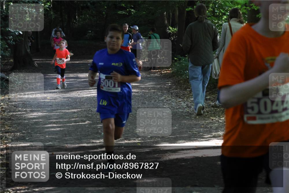 28.09.2025 - 33. Volkslauf durch das schöne Alstertal Strokosch-Dieckow http://msf.ph/oto/8967827 28.09.2025 10:44:26 Laufen 500, 5001, 5044 meine-sportfotos.de