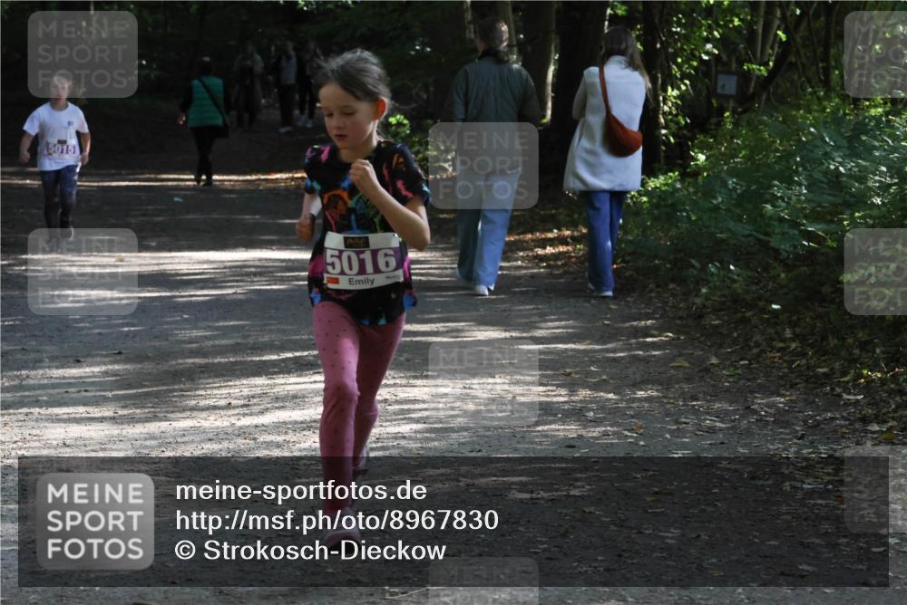 28.09.2025 - 33. Volkslauf durch das schöne Alstertal Strokosch-Dieckow http://msf.ph/oto/8967830 28.09.2025 10:44:41 Laufen 5015, 5016 meine-sportfotos.de