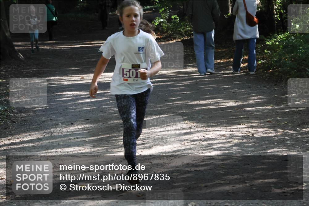 28.09.2025 - 33. Volkslauf durch das schöne Alstertal Strokosch-Dieckow http://msf.ph/oto/8967835 28.09.2025 10:44:45 Laufen 501 meine-sportfotos.de