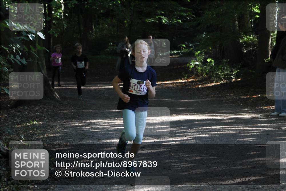28.09.2025 - 33. Volkslauf durch das schöne Alstertal Strokosch-Dieckow http://msf.ph/oto/8967839 28.09.2025 10:44:52 Laufen 5962, 5048 meine-sportfotos.de