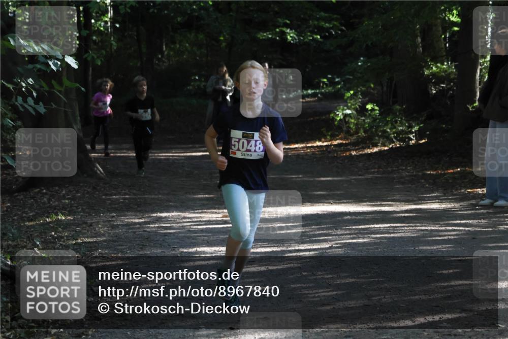 28.09.2025 - 33. Volkslauf durch das schöne Alstertal Strokosch-Dieckow http://msf.ph/oto/8967840 28.09.2025 10:44:52 Laufen 5048 meine-sportfotos.de