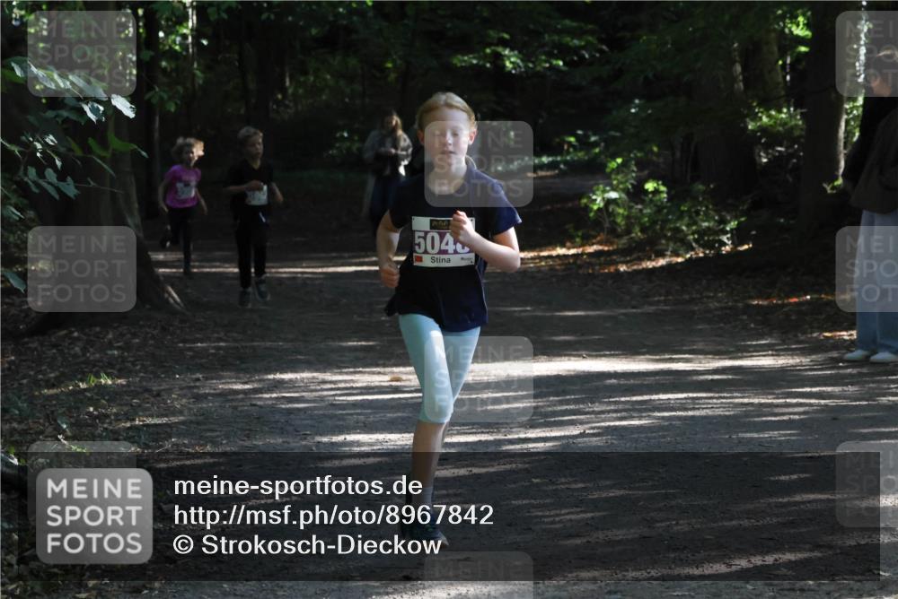 28.09.2025 - 33. Volkslauf durch das schöne Alstertal Strokosch-Dieckow http://msf.ph/oto/8967842 28.09.2025 10:44:52 Laufen 596, 504 meine-sportfotos.de